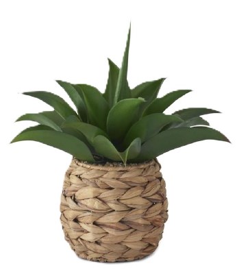 12" Faux Wide Green Succulent in a Woven Basket