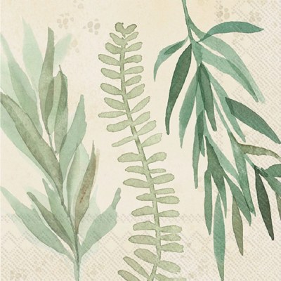 5" Sq Cream and Sage Leaves Beverage Napkins