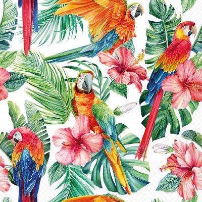 5" Square Red Macaw and HIbiscus Beverage Napkins