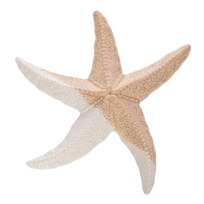 10" Distressed White and Light Brown Ceramic Starfish Figurine