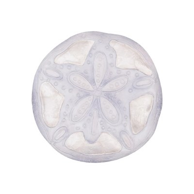 8" Round White Capiz Sand Dollar Coastal Wall Art Plaque