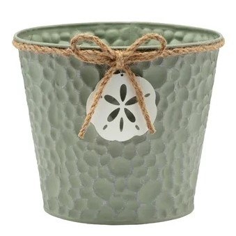 6" Green Metal Sand Dollar Pot