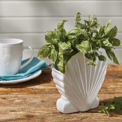 7" White Scallop Shell Utensil Jar