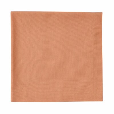 20" Sq Peach Elements Cloth Napkin