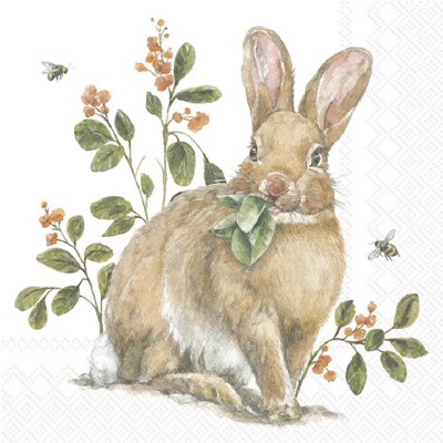5" Square Brown Garden Bunny Easter Beverage Napkins
