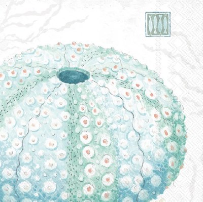 5" Square Multipastel Sea Urchin Beverage Napkins