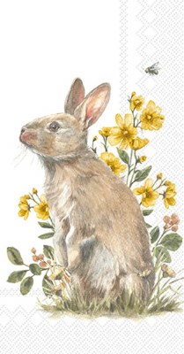 8" x 4.5" Brown Garden Bunny Guest Towels