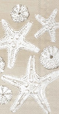 8" x 4.5" Distressed White and Taupe Starfish Guest Towels