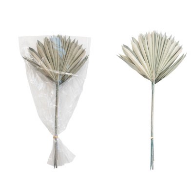 Bundle of 4 21" Natural Palm Fronds