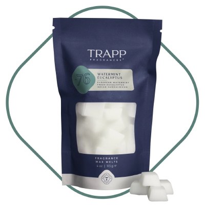 4 Oz Watermint and Eucalyptus Fragrance Wax Melts
