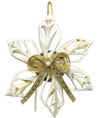 4" Sliced Snowflake Shell Coastal Christmas Ornament