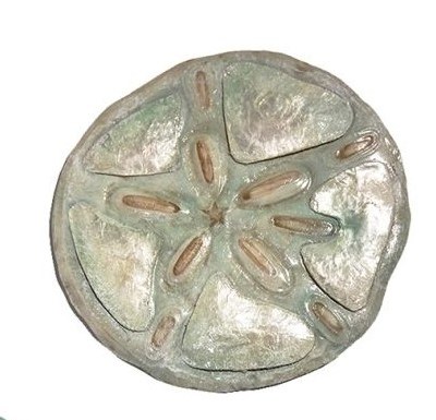 8" Round Multipastel Coastal Sand Dollar Capiz Wall Art Plaque