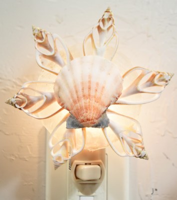 Cut Seashell Star With a Scallop Shell Center Night Light