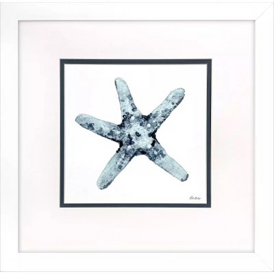 23" Sq Blue Starfish on a White Background Coastal Print in a White Frame Under Glass
