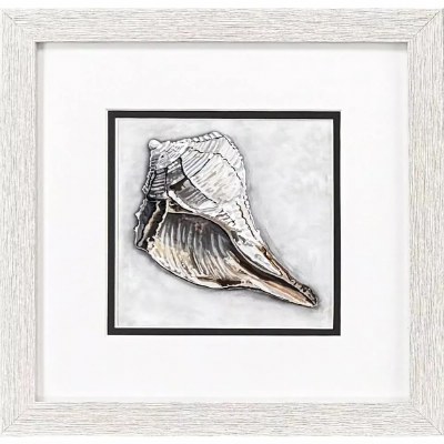 11" Sq Whole Seashell Coastal Print in a Whitewash Frame Under Glass