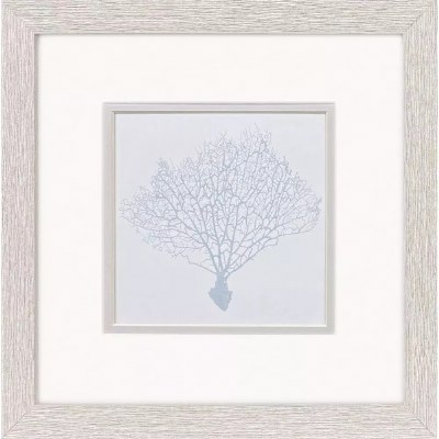 11" Sq Blue Sea Fan Coastal Print in a Whitewashed Frame Under Glass