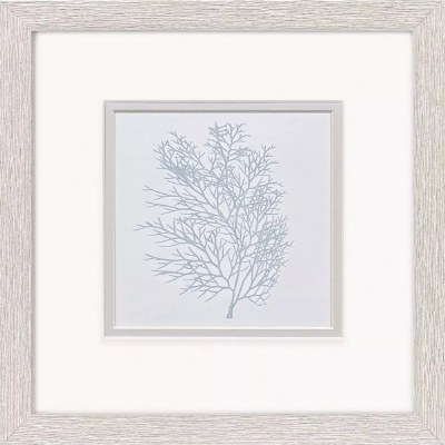 11" Sq Curvy Blue Sea Fan Coastal Print in a Whitewash Frame Under Glass