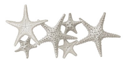 Distressed White Six Starfish Coastal Metal Wall Art Plaque