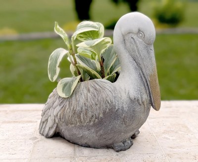 Gray Coastal Pelican Pot