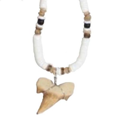 Clam Shell Beads With a Faux Shark Tooth Neclace