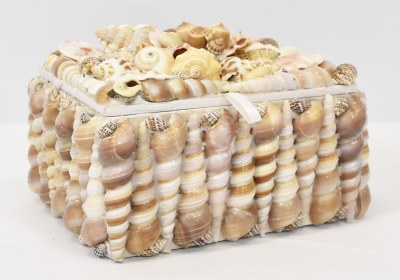 6" x 5" Shell Box With a Cluster on the Top
