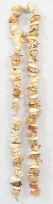 5' Multicolored 2"-2.5" Seashells Garland