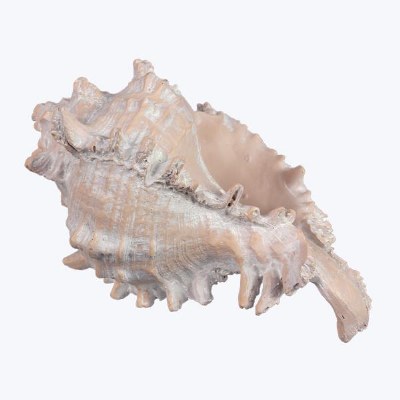 6" Peach Polyresin Faux Murex Shell Figurine