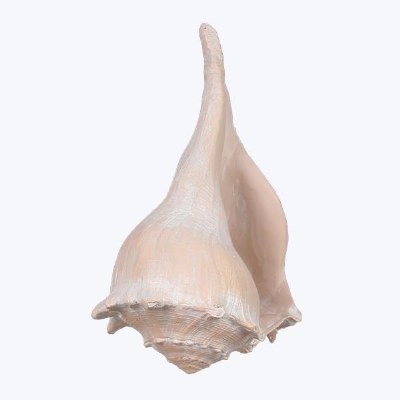 8" Peach Polyresin Faux Whelk Shell Figurine