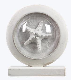 6" Distressed White Round Starfish in a Bubble Frame Statue