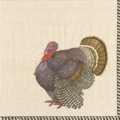 5" Square Thomas T. Byrd Fall & Thanksgiving Turkey Beverage Napkins