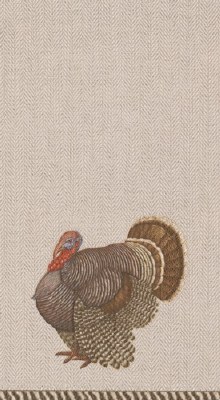 8" x 5" Thomas T. Byrd Fall & Thanksgiving Turkey Guest Towels