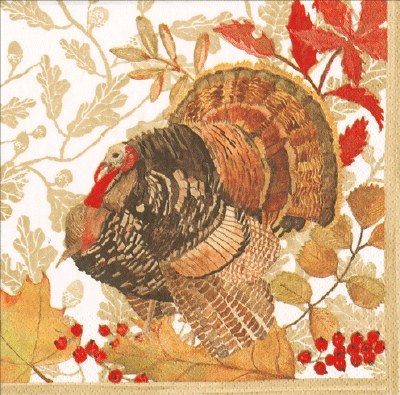 5" Square Woodland Turkey Fall & Thanksgiving Beverage Napkins