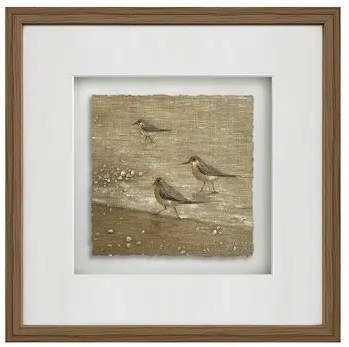 20" Sq Two Brown Sandpipers on the Shore Framed Coastal Print