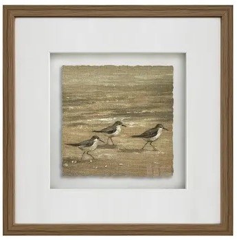 20" Sq Three Brown Sandpipers on the Shore Framed Coastal Print