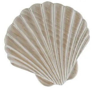 12' White Washed Scallop Shell Coastal Wood Wall Art Plaque