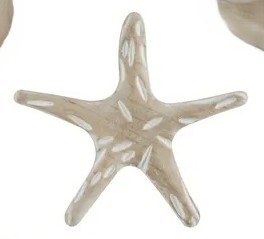 9" White Washed Starfish Coastal Wood Wall Art Plaque
