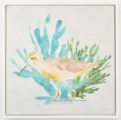 24" Sq Shorebird amd Coral Coastal Canvas in a White Frame