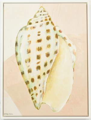 32" x 24" Brown Spotted Seashell 1 Coastal Canvas in a White Frame