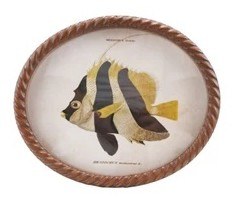 11" x 13" Oval Black and Yellow Fish Framed Print Under Glass