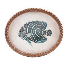 11" x 13" Oval Blue Fish Framed Print Under Glass