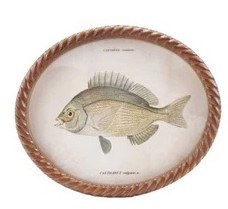 11" x 13" Oval Gray Fish Framed Print Under Glass