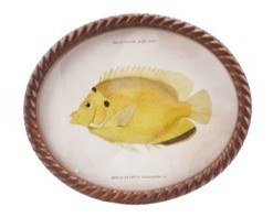 11" x 13" Oval Yellow Fish Framed Print Under Glass