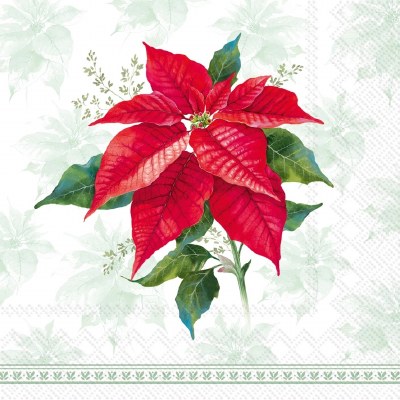 5" Square Red Poinsettia on Green Christmas Beverage Napkins