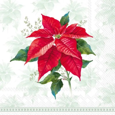 6.5" Square Red Poinsettia on Green Christmas Lunch Napkins