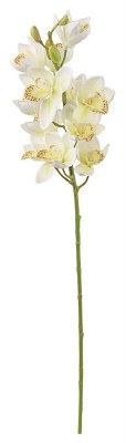 30" Faux White Cymbidium Orchid Spray
