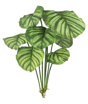 40" Faux Green and Cream Calathea Bush
