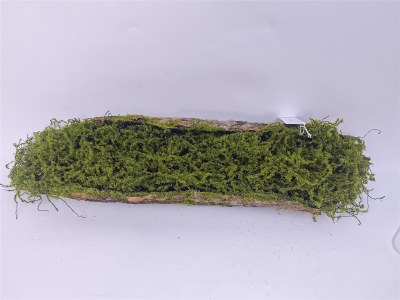 19" Faux Green Moss and Bark