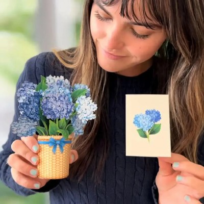 Mini Blue Hydrangeas Pop Up Card