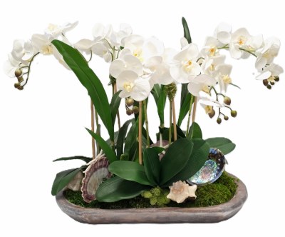 29" Faux Five White Orchids in a Whitewash Brown Oval Wood Bowl