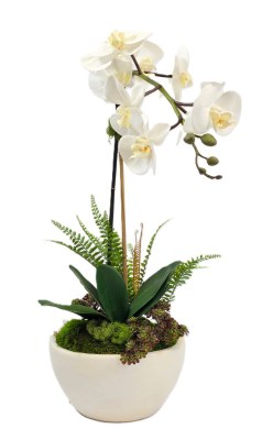 27" Faux White Orchid in an White Oval Pot